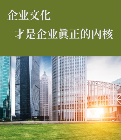 不同等级公路桥梁橡胶支座寿命对比与维护建议